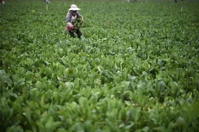 M(jn)l(xing)d·ϡ֧fl(xing)L(fng)òcʹ