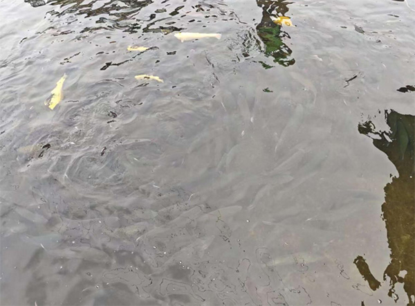 ɽ|W(xu)wδ{(dio)ЈF(tun)Ͳвɽ^(q)sAˮa(chn)B(yng)ֳ(chng)_չ{(dio)