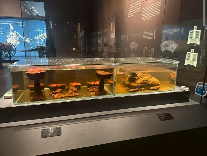 C(j)늌W(xu)Ժl(xing)̽؉ۿh^гĻ