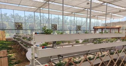 ഺ(sh)`̽Ǽ·ؔ(ci)W(xu)g^ҊCƼxl(xing)d