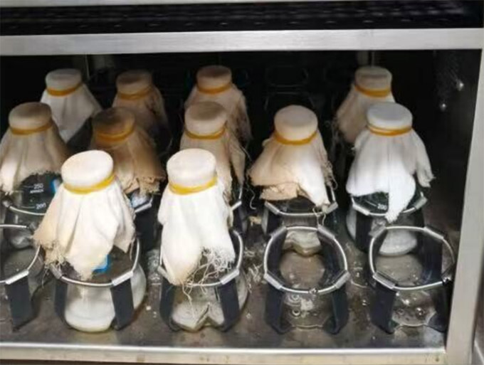 Ƽxl(xing)dW(xu)W(xu)ڌ(sh)`̽ľǴGɫϳ·