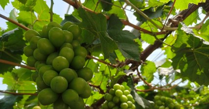 ƌW(xu)čW(xu)ԺǸҰ・İr(nng)	F(tun)(du){(dio)r(nng)I(y)@