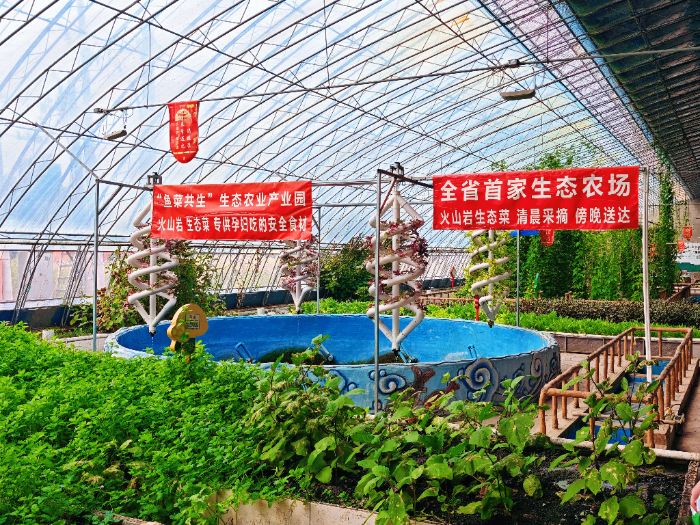 d|r(nng)I(y)W(xu)W(xu)Ӹִ̽l(xing)d