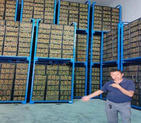 (XɽW(xu))ԺF(tun)(du)(li)X(sh)`Ļֱl(xing)x