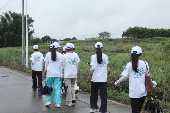 ˇͻ̽LǽǴ塰c(din)ná----Ԓl(xing)δ