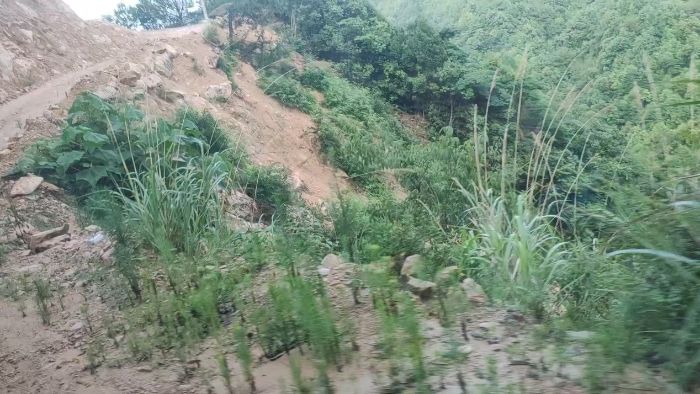 ɽl(xing)ᄸ·۝(rn)f(wn)Vƪl(xing)(sh)`(du)̽LB(yng)a(chn)I(y)d֮·