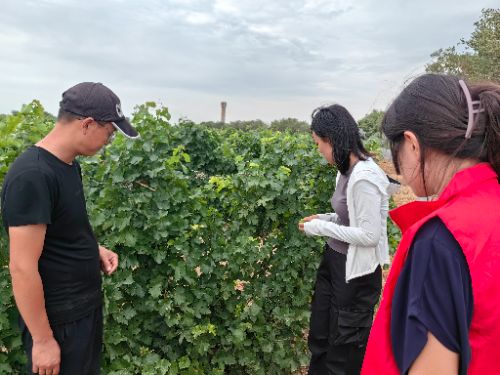 B(ti)죬Ʒ|(zh)Tؔ͡WM44Sa(chn)^(q)Ĵf