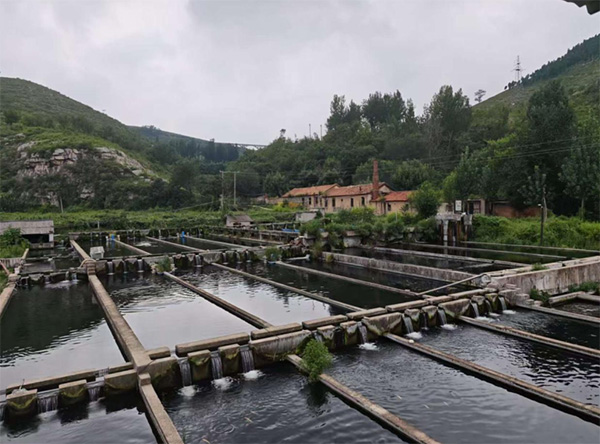 ɽ|W(xu)wδ{(dio)ЈF(tun)Ͳʹ^(q)̫(zhn)Դˮa(chn)B(yng)ֳ(chng)_չ{(dio)