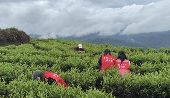 һƬ~Ӹһһ·ǭF(tun)(du)dl(xing)匍(sh)