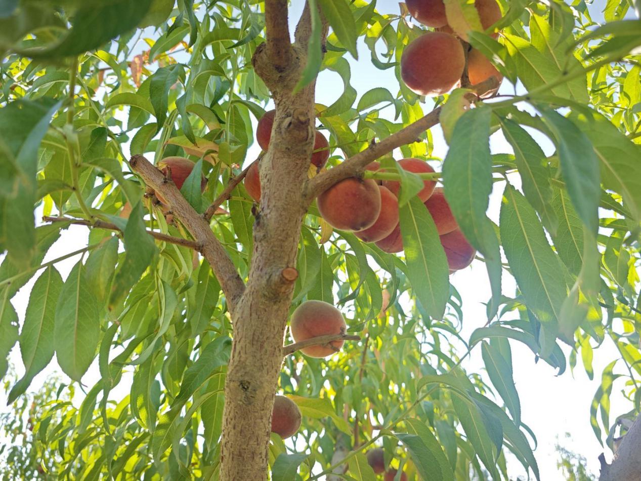 ഺM(jn)@W(xu)˼`r(nng)d⌍(sh)`F(tun)