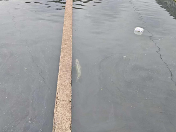 ɽ|W(xu)wδ{(dio)ЈF(tun)ͲвɽȪغV~B(yng)ֳ(chng)_չ(sh){(dio)