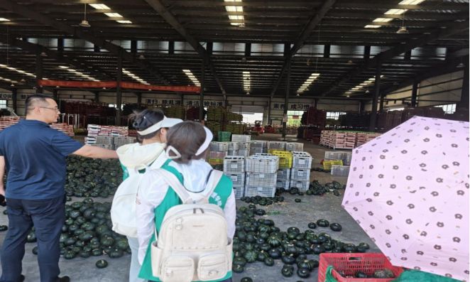 ɽ|W(xu)l(xing)x·(sh)`̽Ld