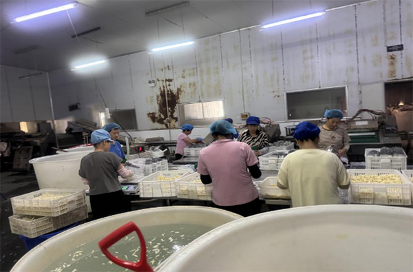 cλƌW(xu)ͬ ԿƼ֮PLl(xing)dD