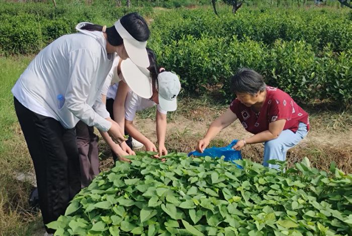 ֪ڸǡr(nng)С̽Lɽ˵أժuːr(nng)f