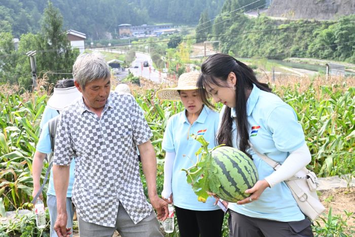 ԺW(xu)l(xing)|ȿa(chn)I(y)·ഺ뢮dD