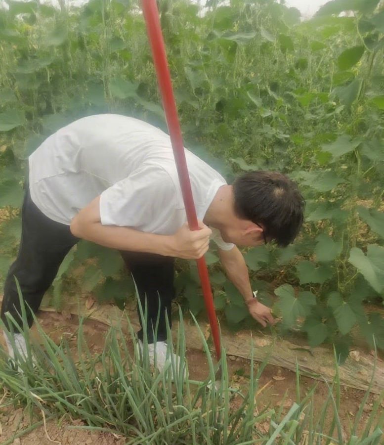 (yng)W(xu)Ժˇg(sh)O(sh)Ӌ(j)W(xu)Ժ l(xing) Ƽdr(nng)F(tun)(du)΄(w)AM