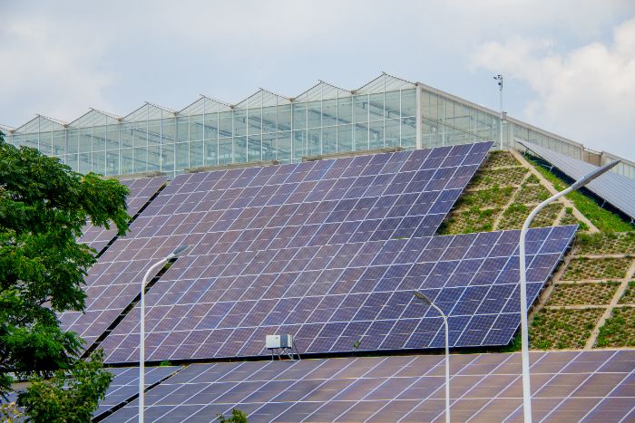 HW(xu)l(xing)Ll(xing)ӣӰ顱 ˹c(din)l(xing)d·