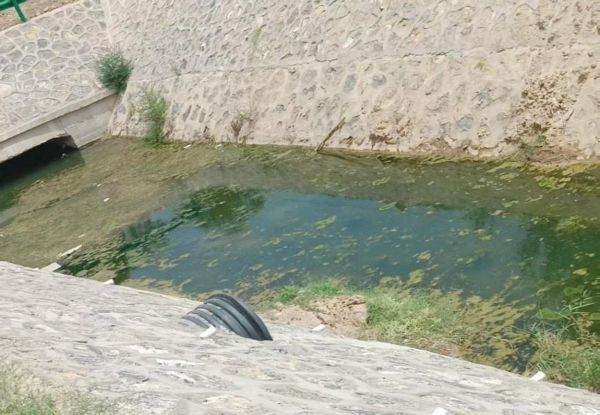 ̽l(xing)ˮϵ}j(lu)So(h)B(ti)҈@ƼW(xu)h(hun)čW(xu)Ժ(hu)(sh)`F(tun)(du){(dio)֮