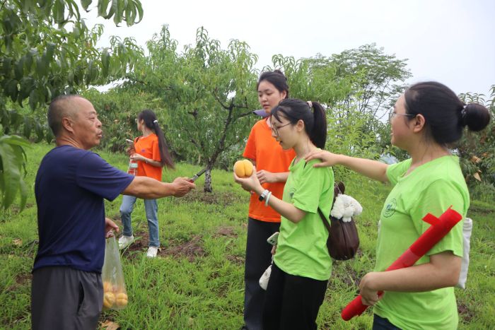 ̽SҮa(chn)I(y)l(xing)dLW(xu)Ժ^[(sh)`F(tun)Є