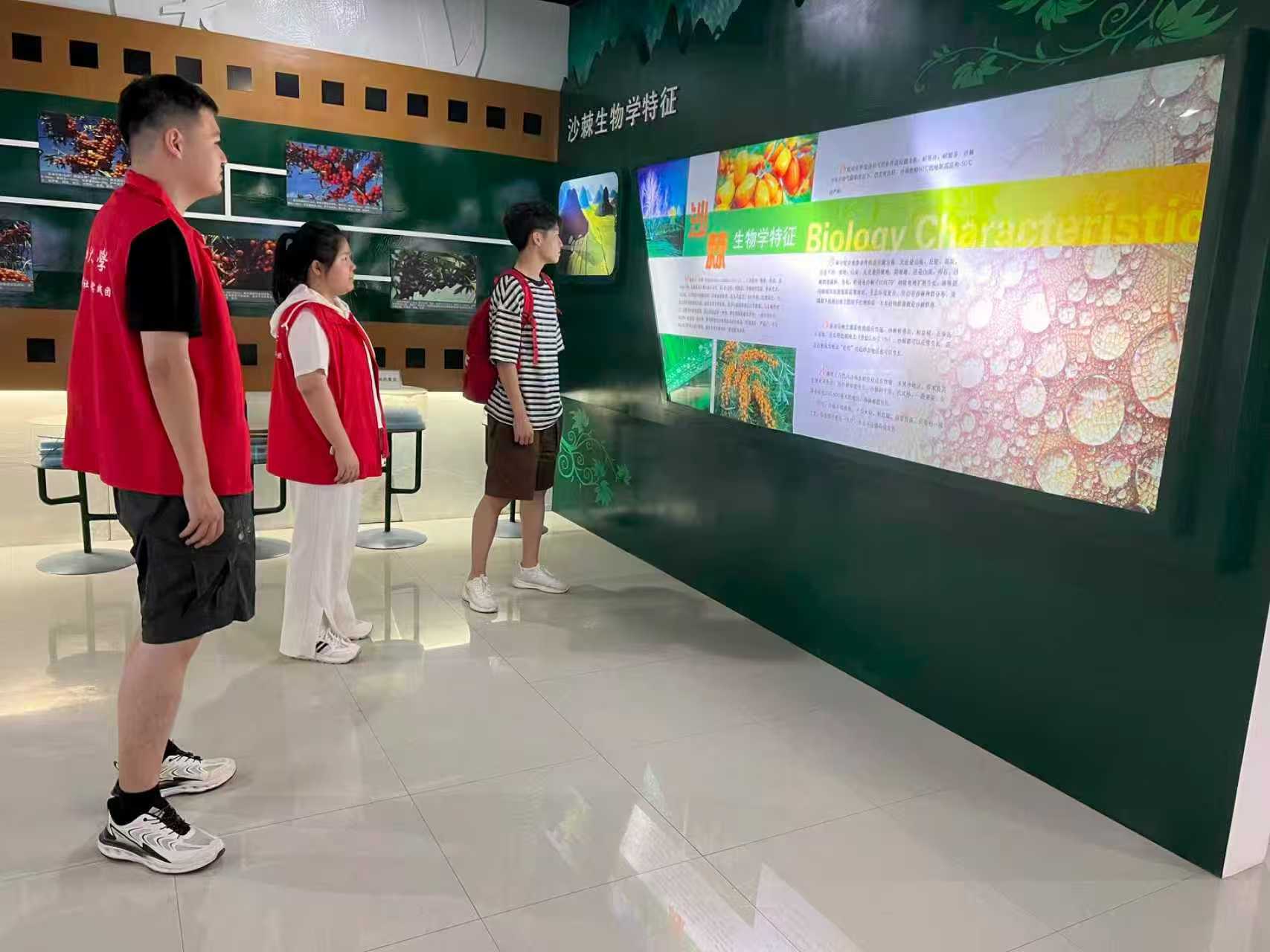 ���������_�����GҰ���𡪡��|�r(n��ng)��(sh��)�`�F(tu��n)���д��ɳ�������l(xi��ng)�����d