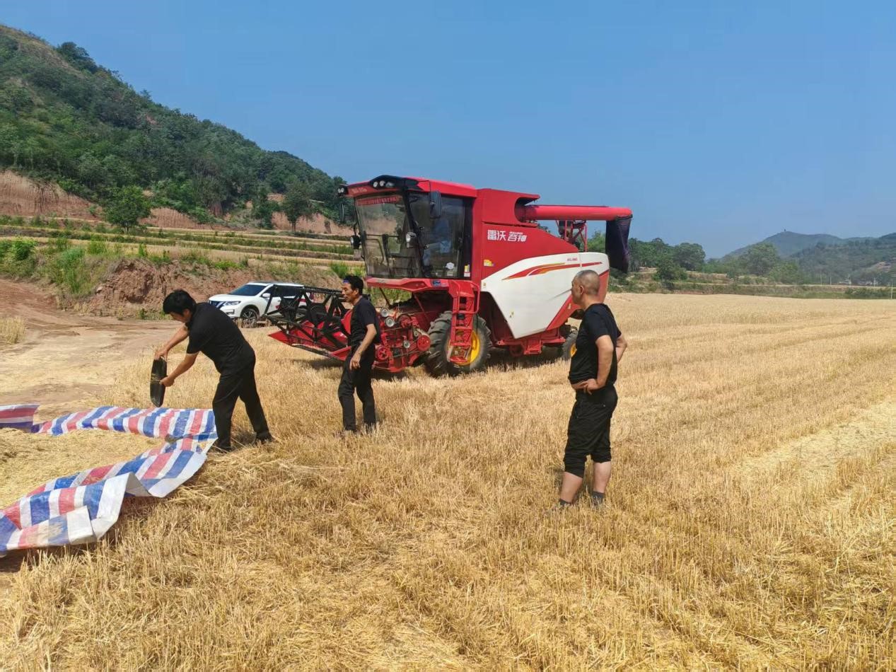 ֦{(dio)к(dn)(dng)cЄӘ(gu)