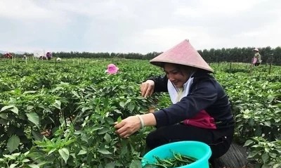 ߽l(xing)dʹߣ֧еl(xing)L(fng)ò