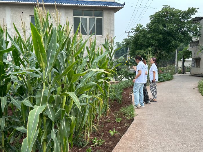 ϴW(xu)W(xu)Ӹe_չi`֪tEġ`