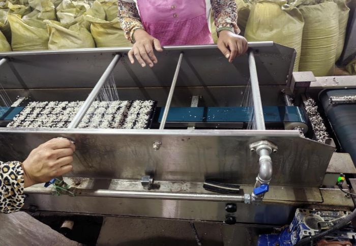 ɽ|W(xu)l(xing)̽أƼxl(xing)dD