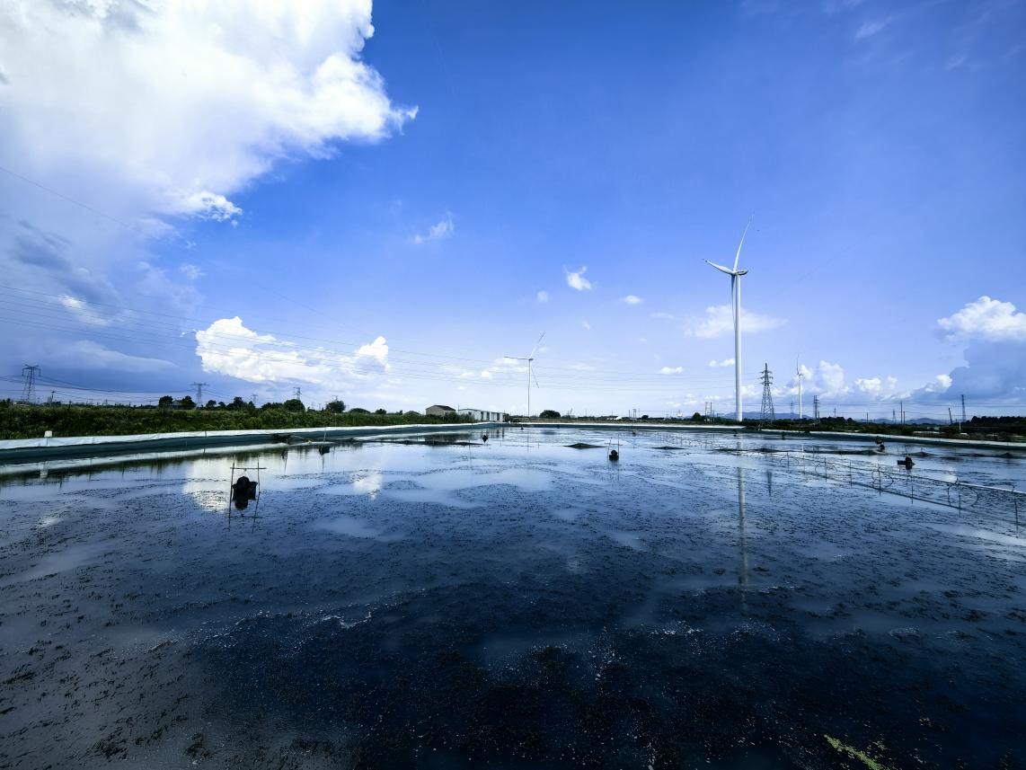 ���B(t��i)�B(y��ng)ֳ�x������a���ϴ��з�a(ch��n)�I(y��)��ƪ