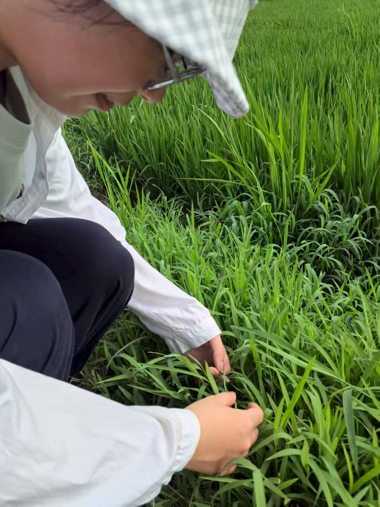 Gɫţr(nng)dr(nng)l(xing)(sh)`(dng)