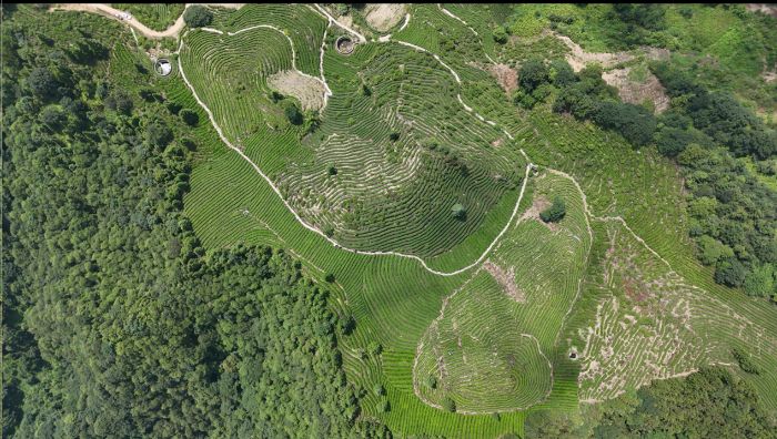 l(xing)·حɽԽX̽ذQ壬GҊC(mng)㡷