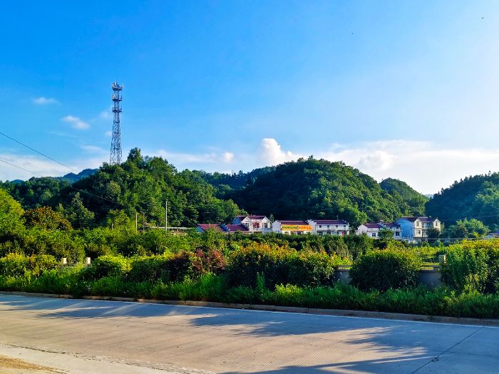 ˸򩦺ӺW׷⡱֧̈Fϲ