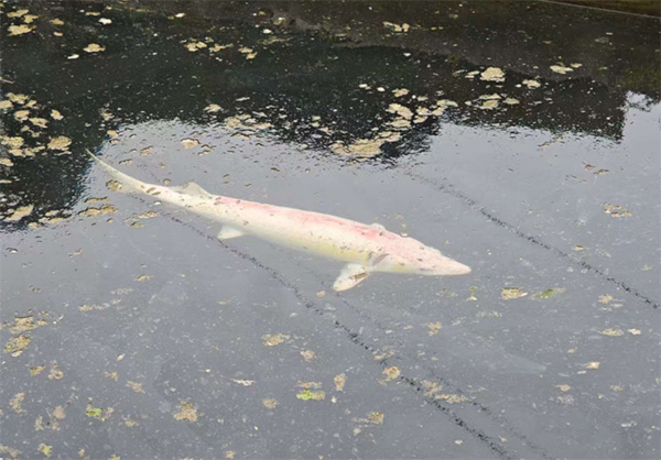 ɽ|W(xu)wδ{(dio)ЈF(tun)Ͳʹ^(q)̫(zhn)ӺV~B(yng)ֳ(chng)_չ(sh){(dio)