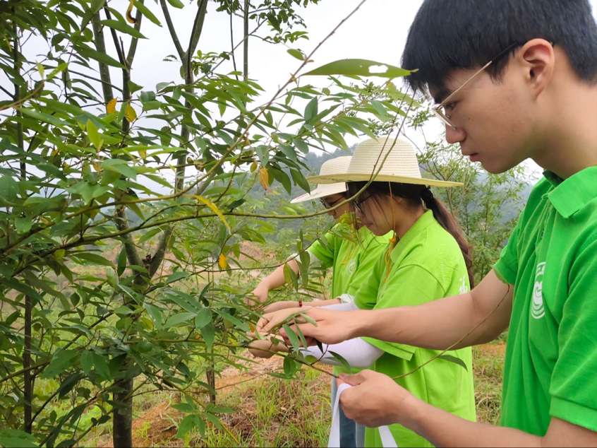 D3  `꠆Tժɽn~ 褔z