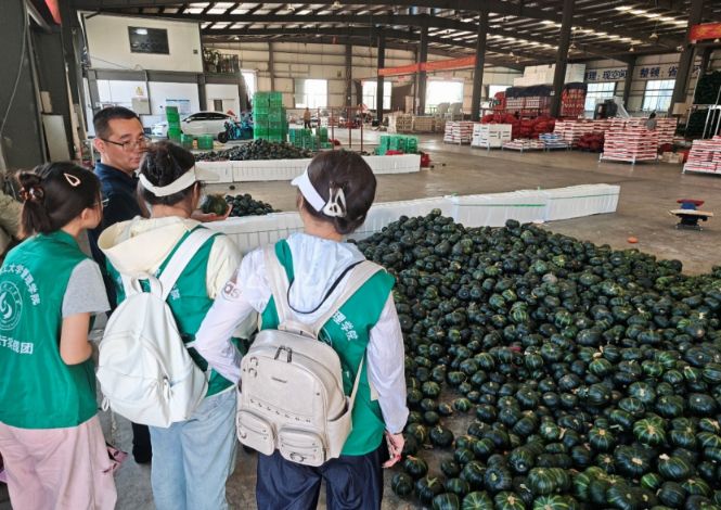 ɽ|W(xu)l(xing)ɽ|ʡHЉ۹У̽·l(xing)̎(sh)ք(dng)dr(nng)Q(mo)