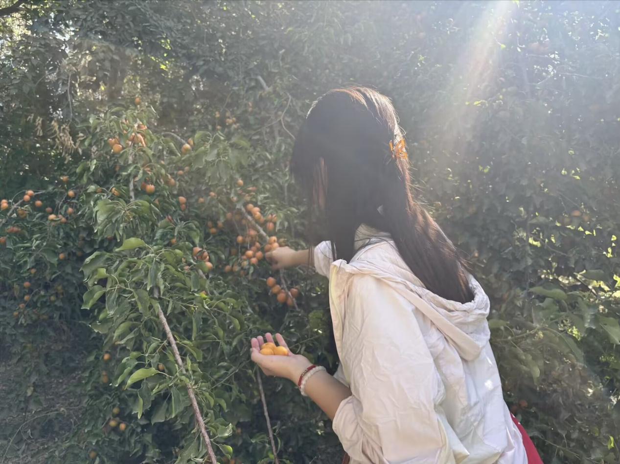 GҰ\C l(xing) ⌍(sh)`F(tun)