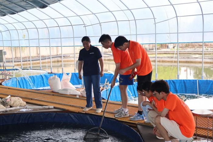 ˮ~(chung)Ч棺ƼB(yng)ֳ