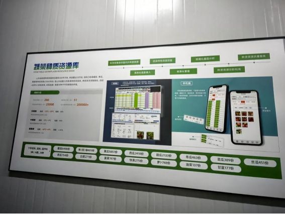 ɽ|Wl(xing)ӣ̽·l(xing)̎(sh)քdrQ