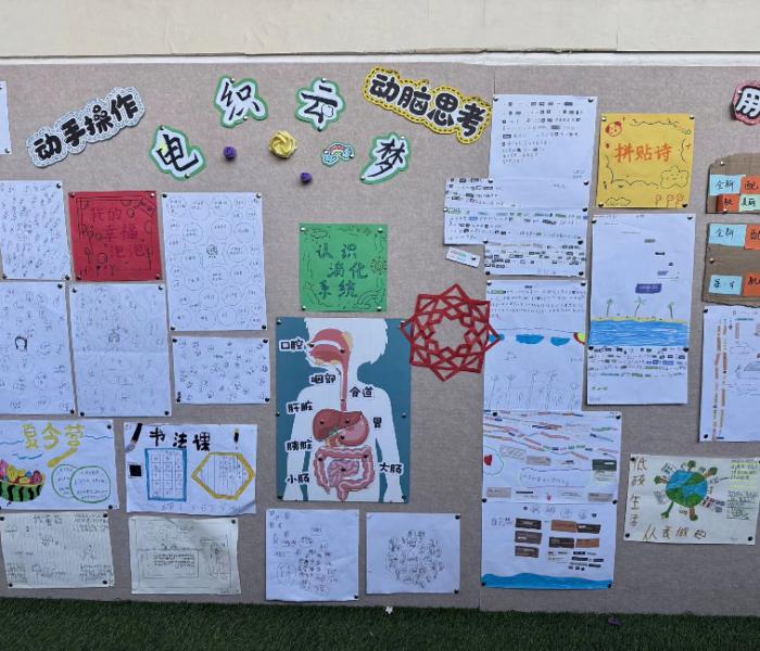 |ϴW(xu)늿Ɖ(mng)֧̈F(tun)A_չ֧cl(xing)d(sh)`