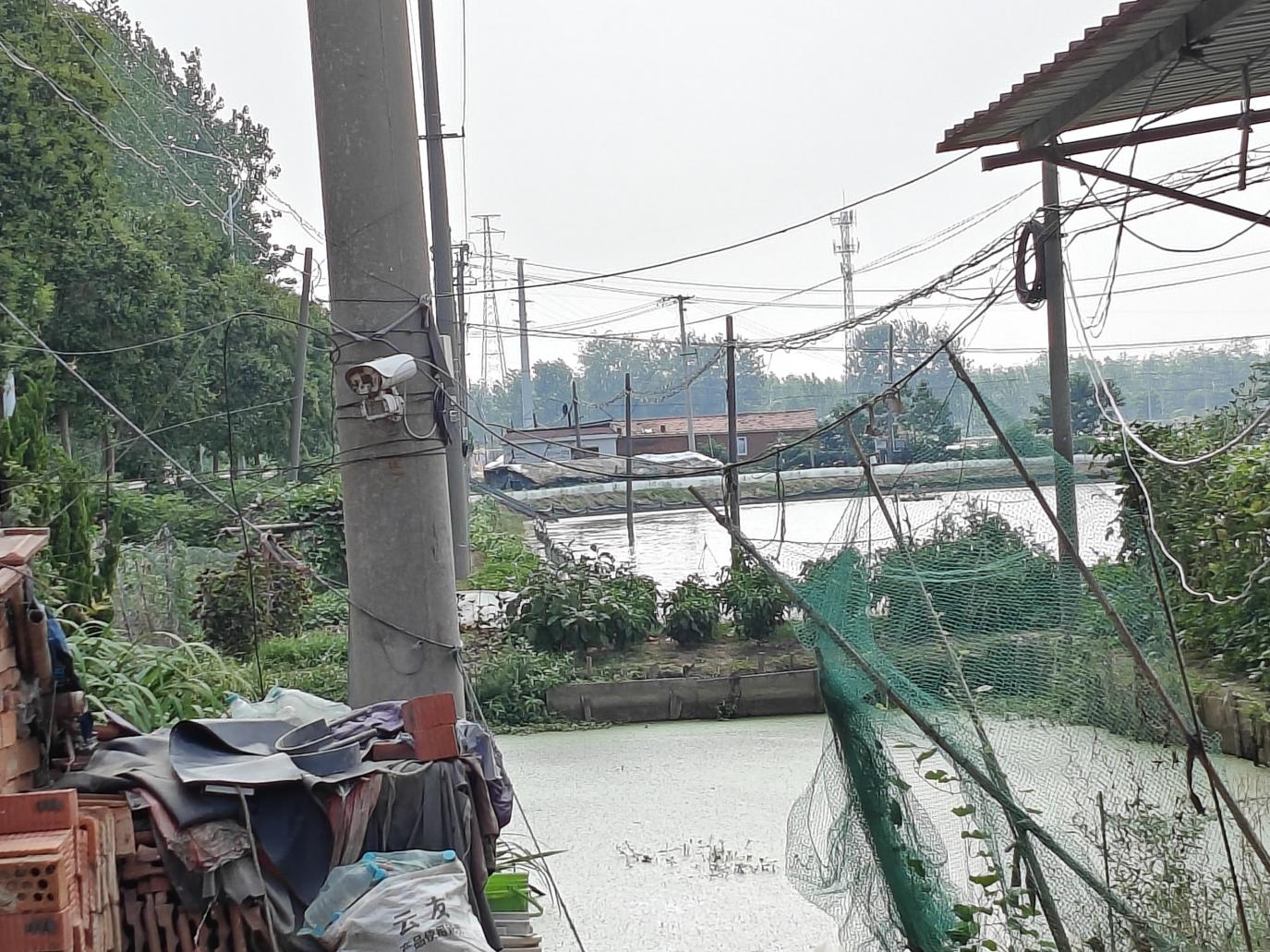 ���]���Ӵ��з�B(y��ng)ֳ�{(di��o)�У����B(t��i)�c�a(ch��n)�I(y��)���L�l(xi��ng)�����d�D��