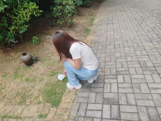 С^(q)־Ըӌ(sh)`Сꠣ坍^(q)ü҈@