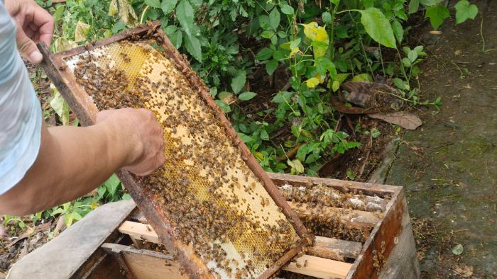 QČ(sh)`n̽I(y)ĳLܴa