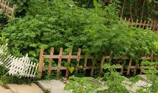 ؔWӣǸҰ・İr(nng)F{(dio)Ͼкˮl(xing)r(nng)