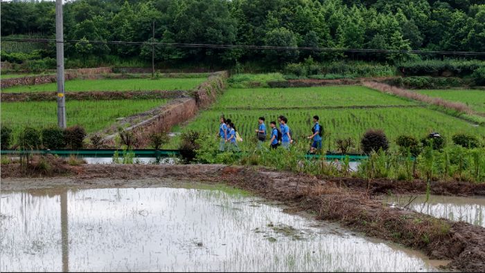 ꡰl(xing)CEOl(xing)d