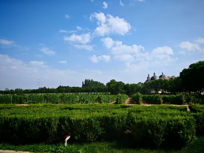 ζRm}ϸ;`{(dio)yѾƮa(chn)I(y)l(f)չ(w)