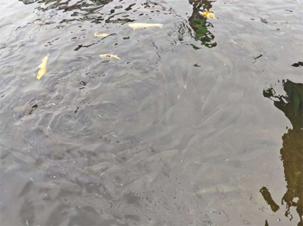 ɽ|W(xu)wδ{(dio)ЈF(tun)ͲвɽȪV~I(y)_չ{(dio)