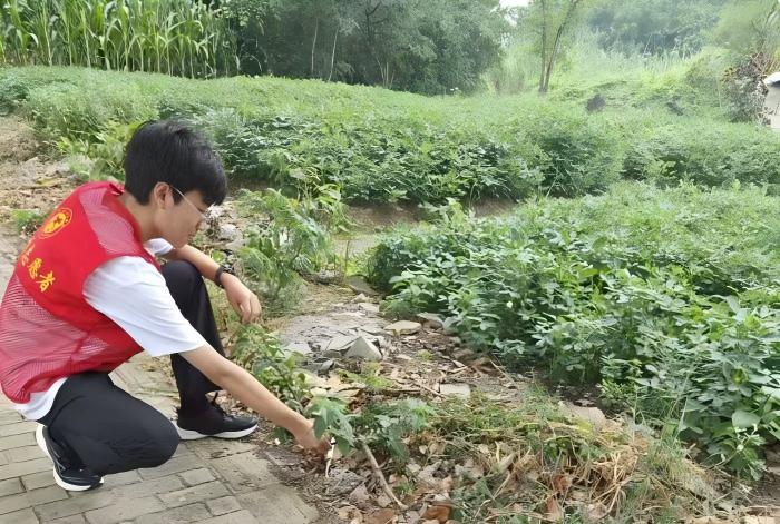 G˾壺W(xu)F(tun)(du)l(xing)LB(ti)l(xing)®