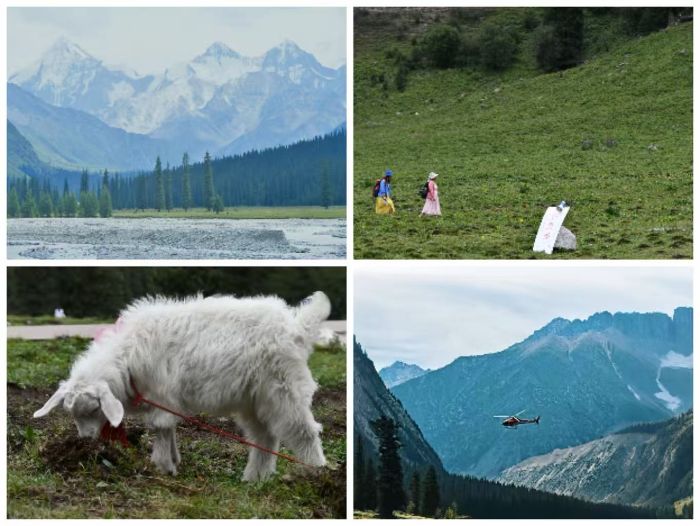 ϴW(xu)֧̈F(tun)̽cĹ֮·