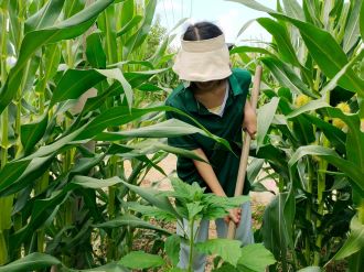 rWg"}"sݣxܾGɫrI(y)