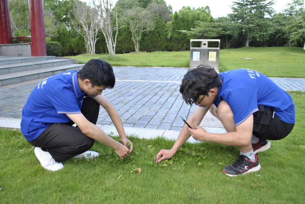 ߵ˼nh(hun)WԺʏֲ̈F^m(x)_չУ^(q)ֲɼ